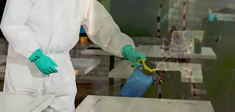 Why Buyers Still Want Homes With Pest Infestations in Orange, CA?