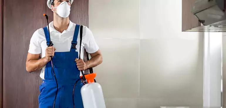 Why Orange Homeowners Choose Us When Pests Make Selling Difficult